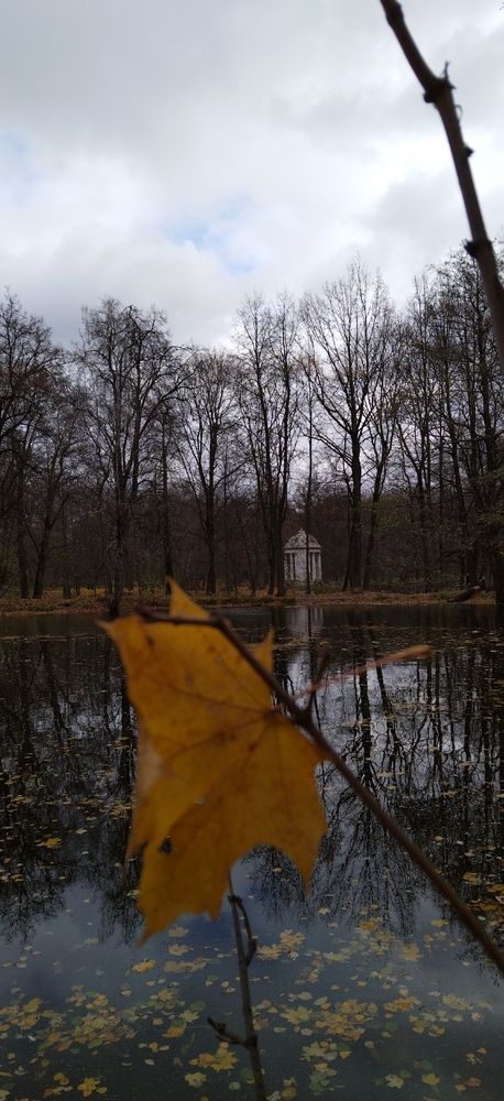 Photograph by Татьяна Миронова