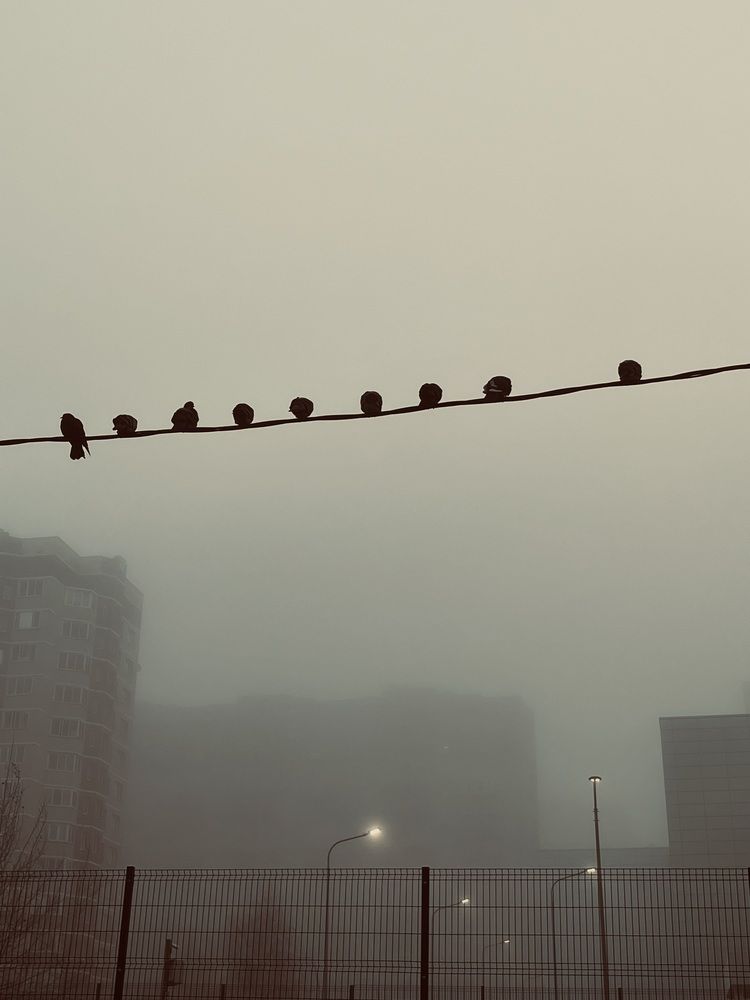 Photograph by Екатерина Сбитякова