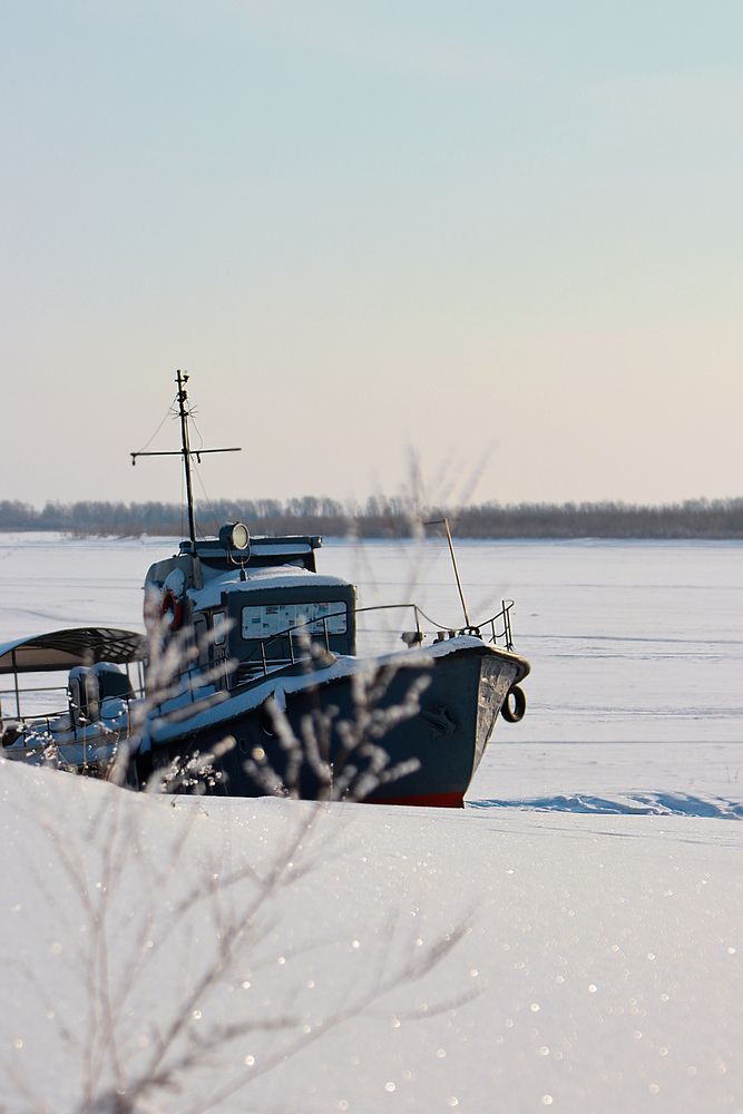 Фотография автора Елена Разина