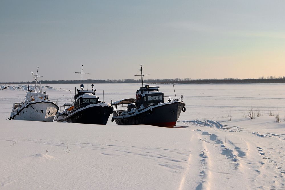 Фотография автора Елена Разина