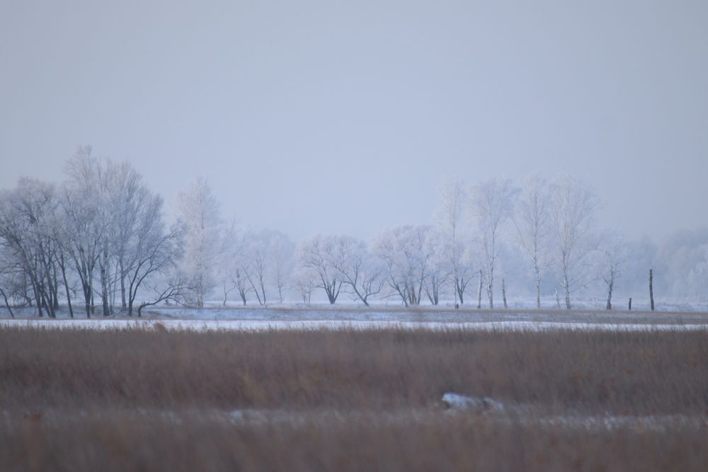 Photograph by Тимофей Федоровцев