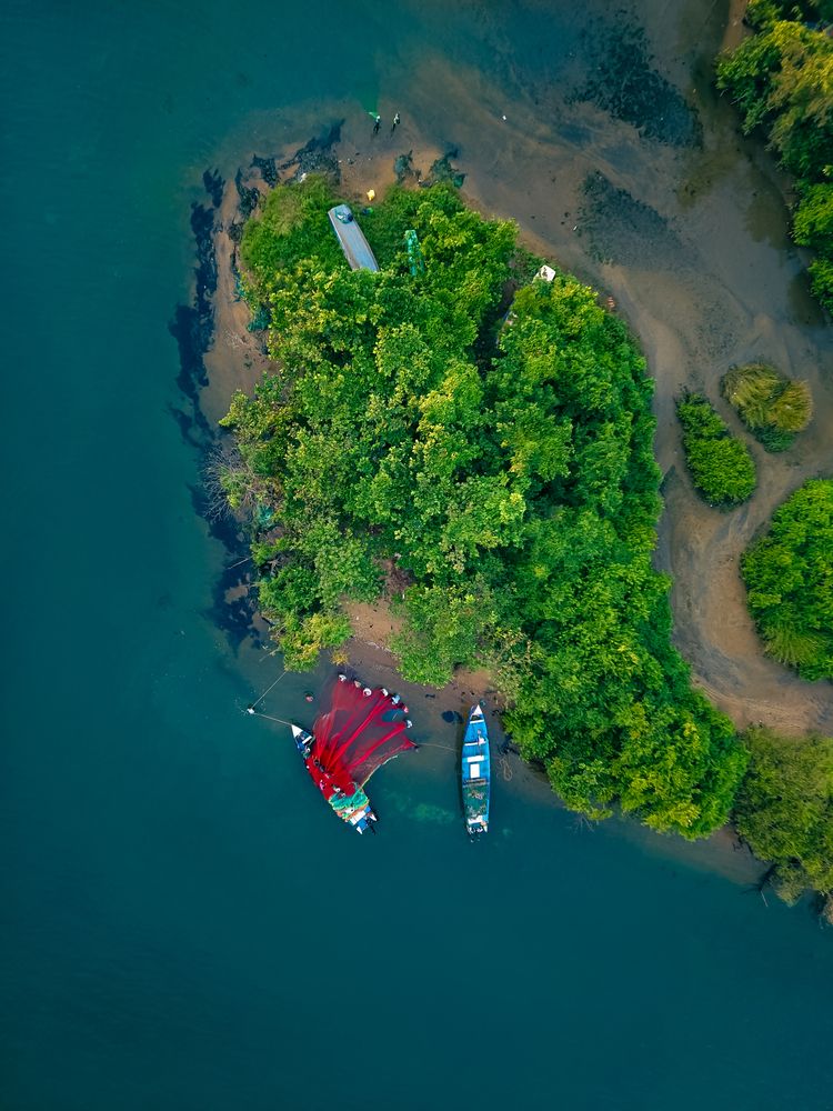 Photograph by A B Veekshith