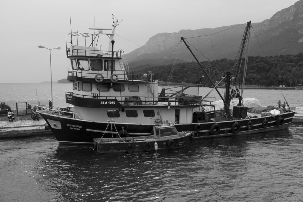 Фотография автора Роман Чернышов