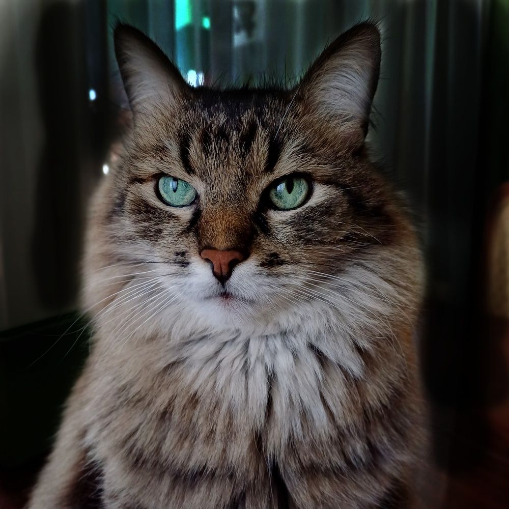 Photograph by Наталья Григорьева