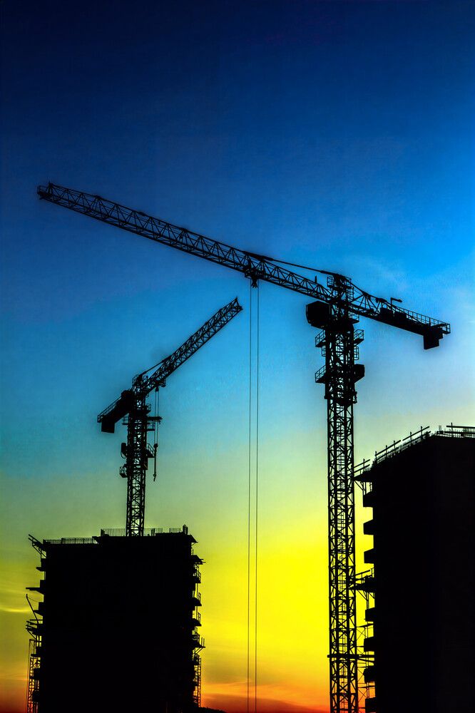 Фотография автора Мария Тюрина