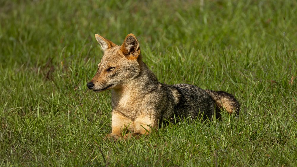 Photograph by Mahesh Kumar V Kolekar