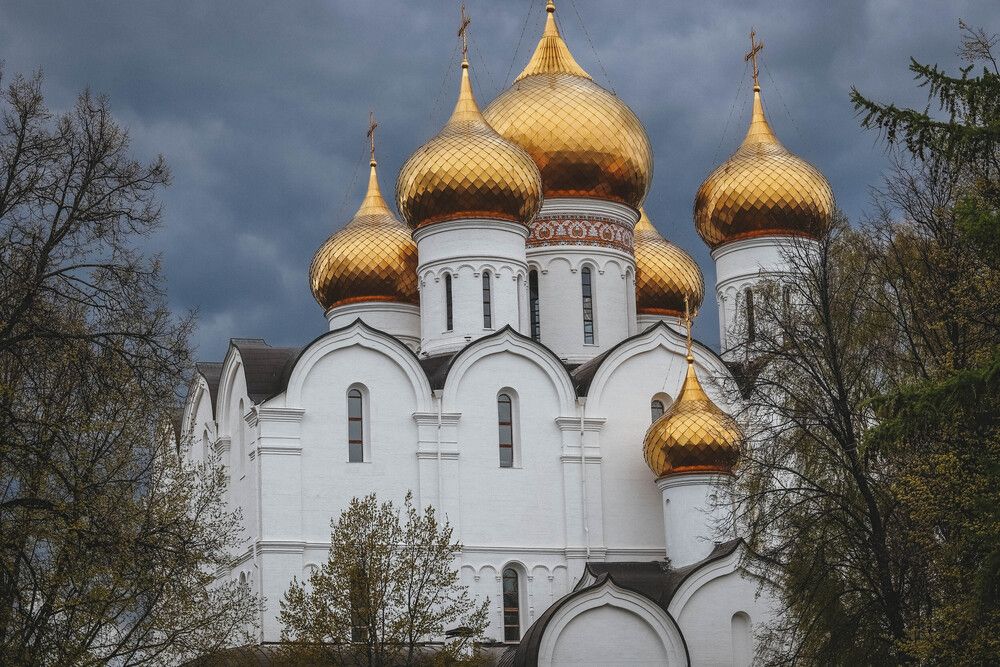 Фотография автора Олеся Богомаз