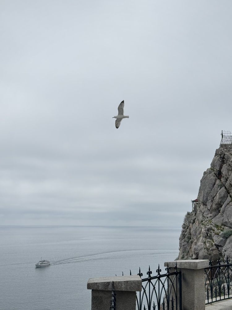 Photograph by Татьяна Семёнова