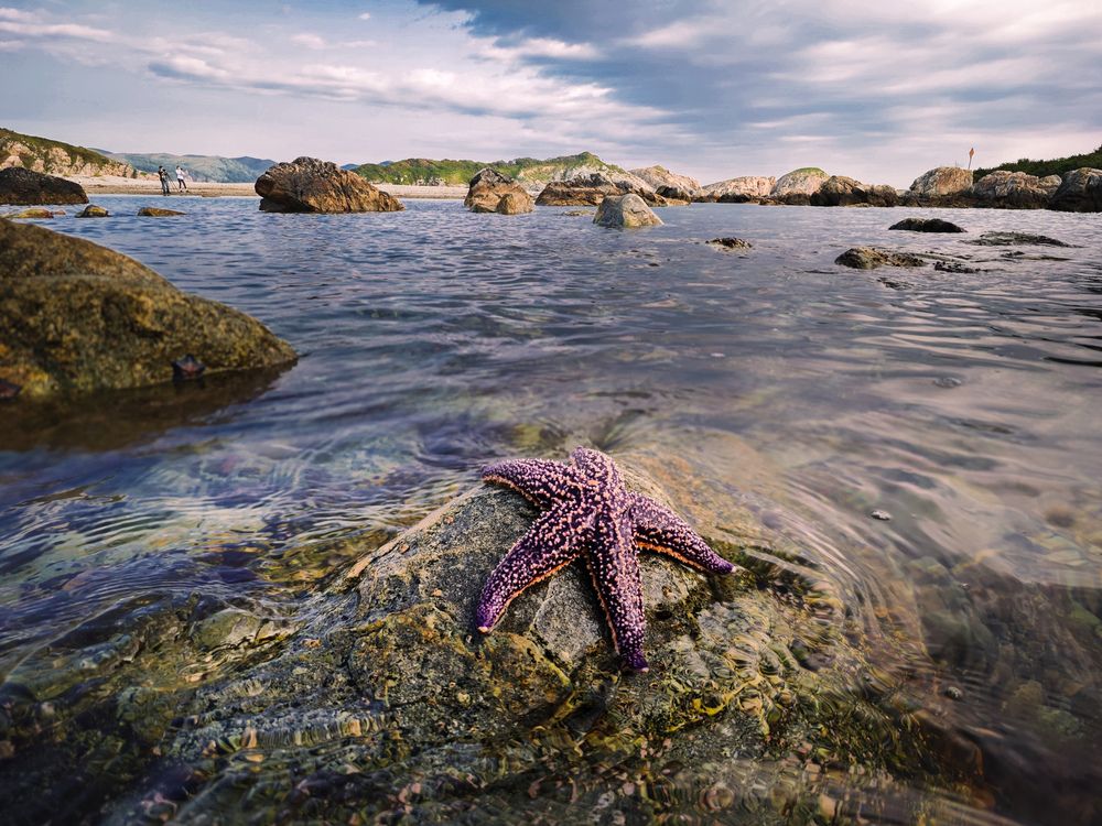 Photograph by Андрей Родионов