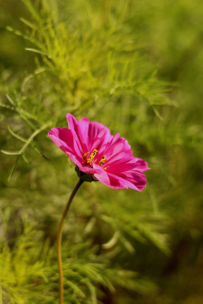 Photograph by Илья Медведев