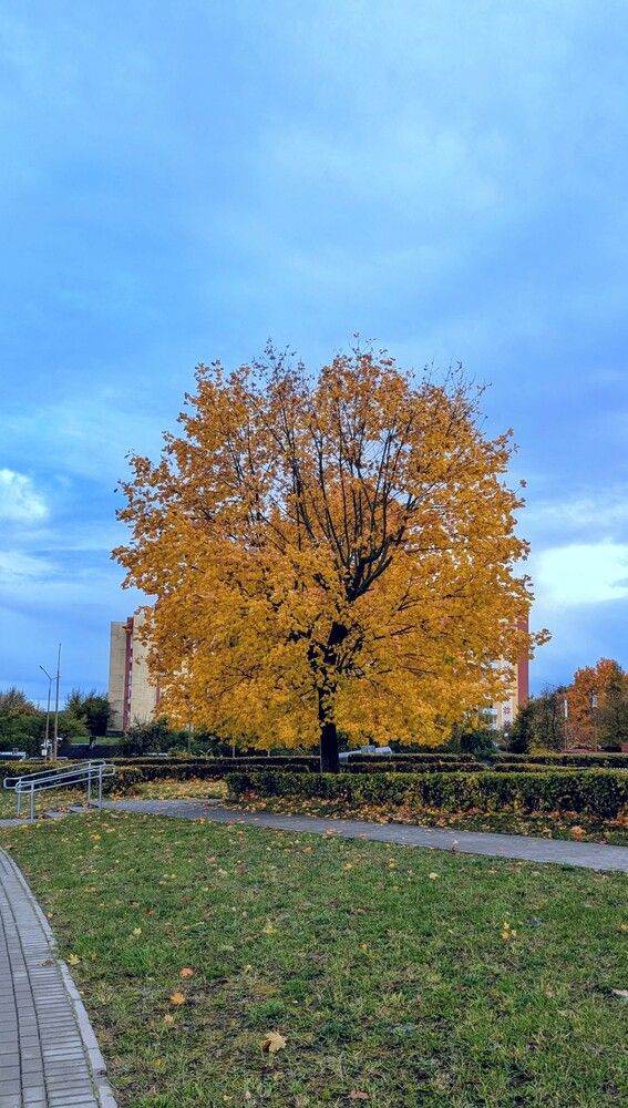 Photograph by Сергей Коншин