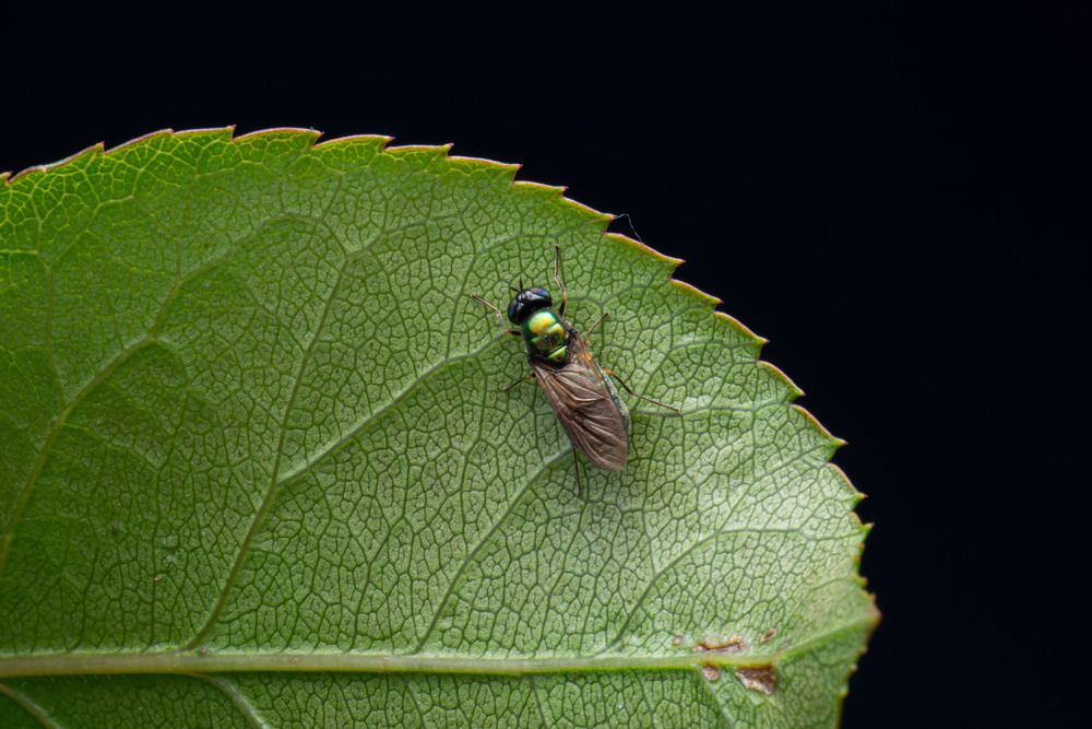 Photograph by Андрей Мичурин