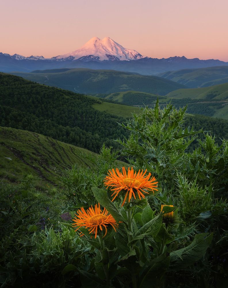 Photograph by Андрей Родионов