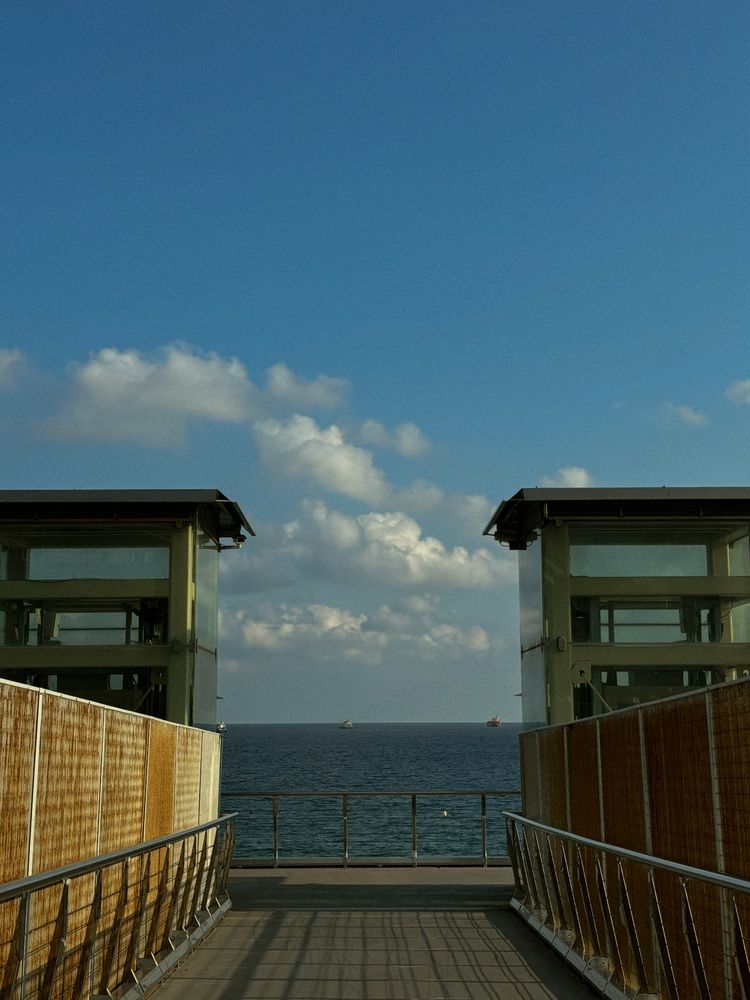 Фотография автора Alyona Sorokina