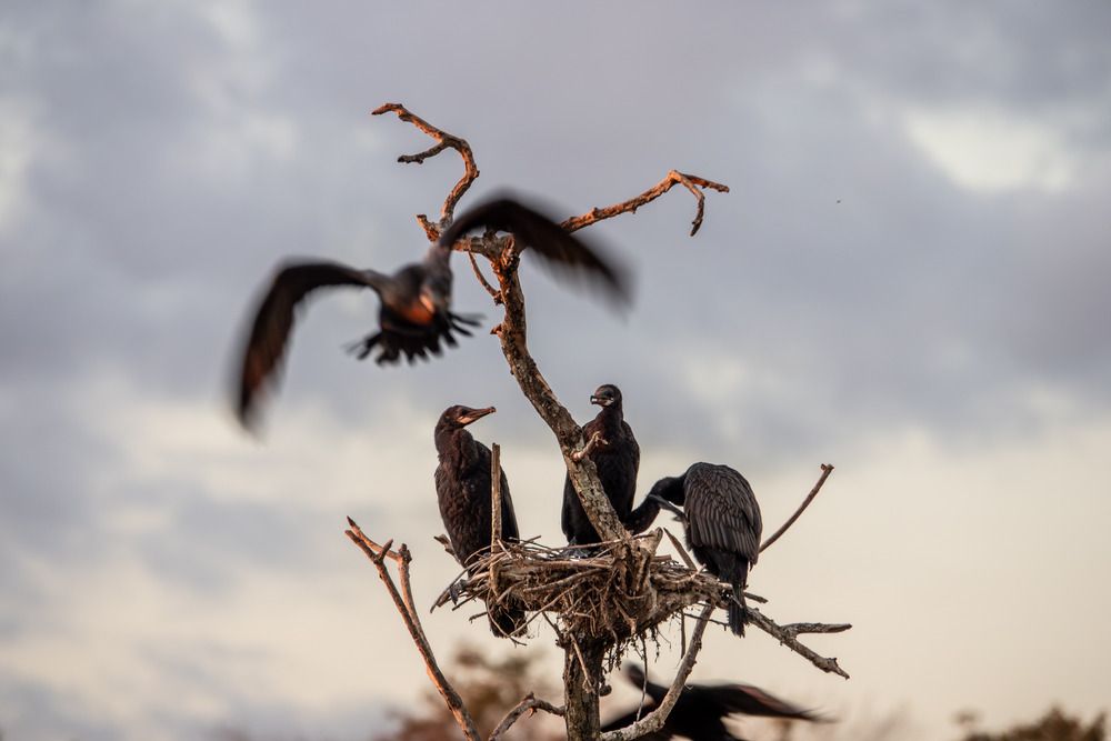 Photograph by Анатолий Костерев