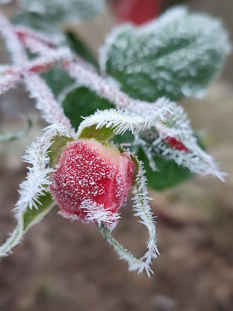 Photograph by Валентина