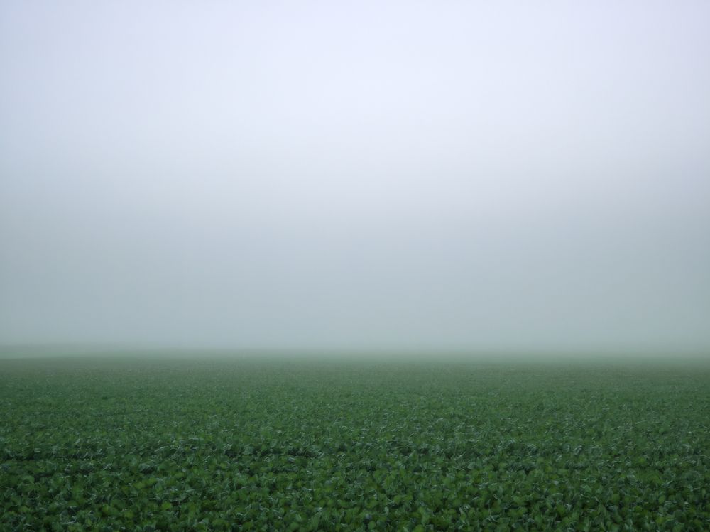 Photograph by Державин Александр