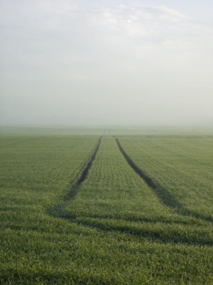 Photograph by Державин Александр