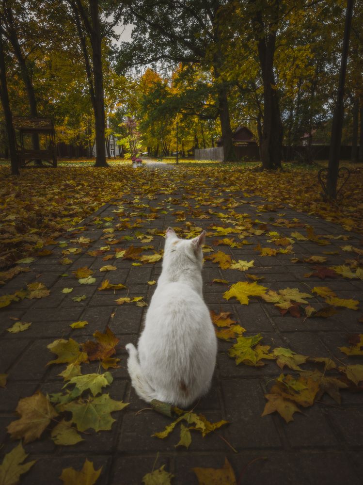 Photograph by Державин Александр