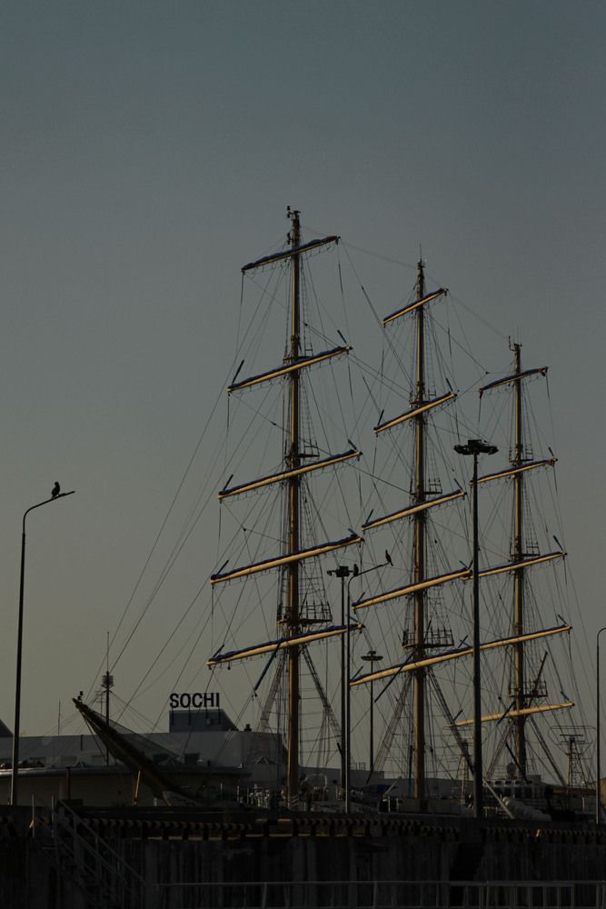 Фотография автора Полина Ишкина