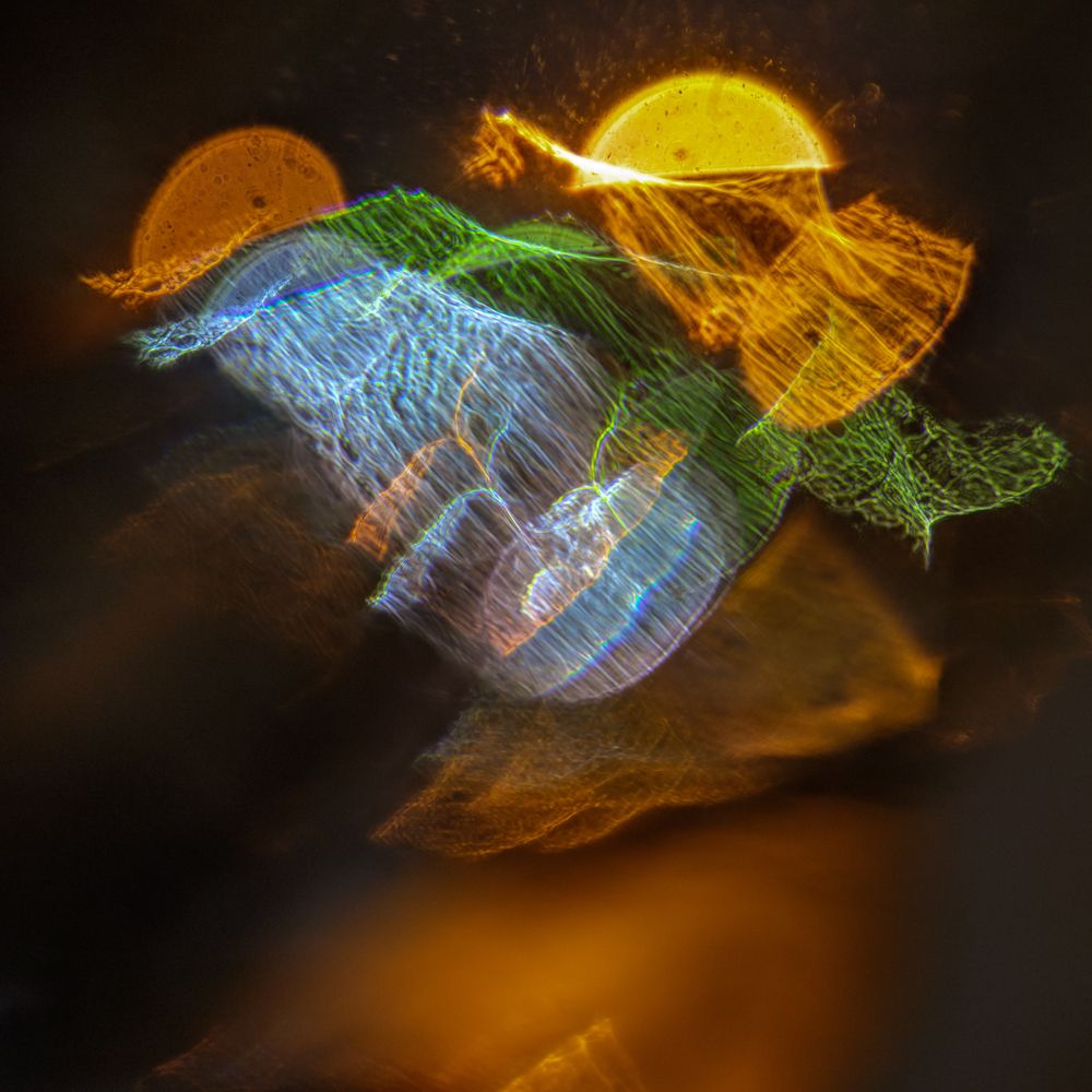 Blue Penguin and his ghost friends