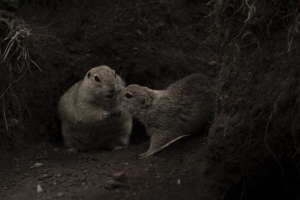 Photograph by Анастасия Зайчуковская