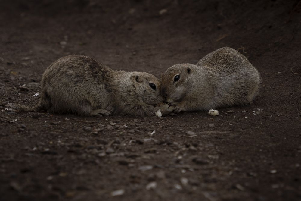 Photograph by Анастасия Зайчуковская