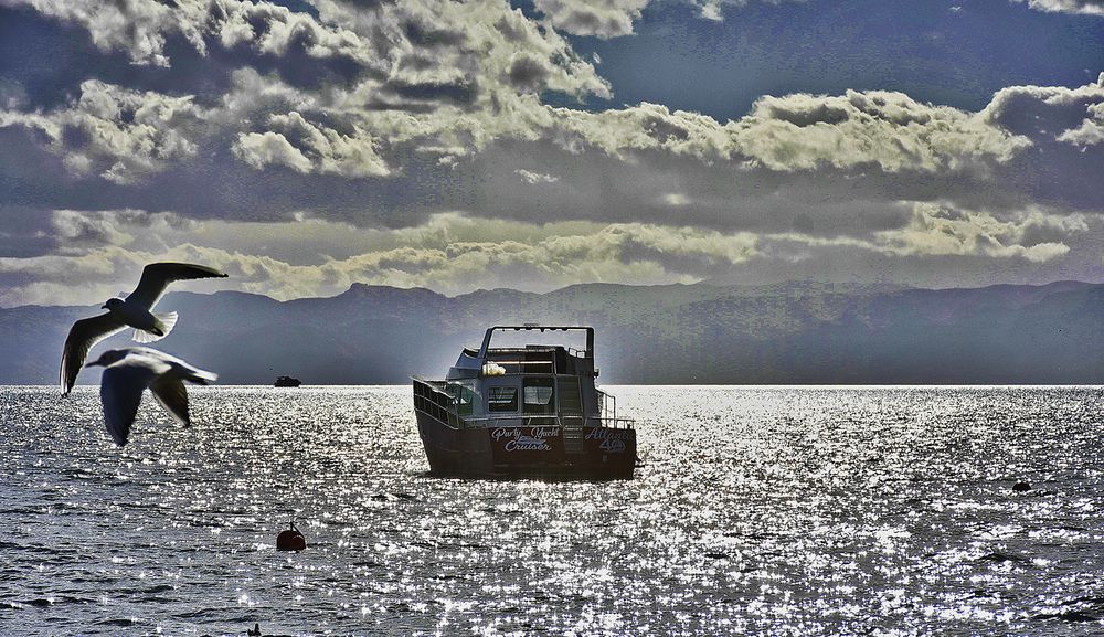 Photograph by Stojan Saveski