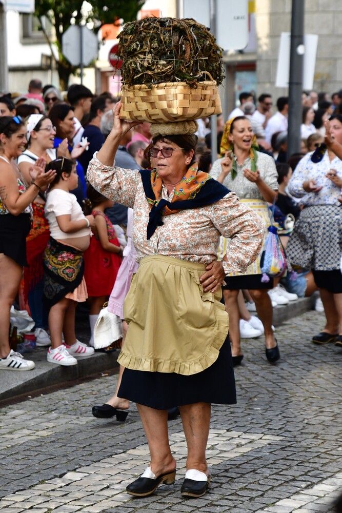 Sargaceira do Norte de Portugal