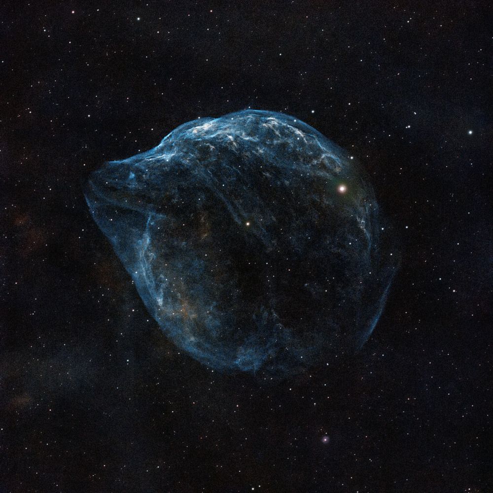 Туманность Голова Дельфина в созвездии Большой Пес