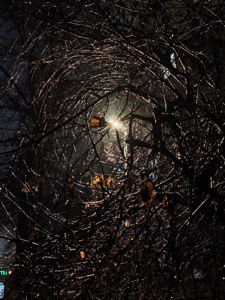 Photograph by Сергей Порошин