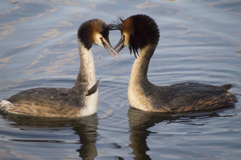 Photograph by Аlessandro