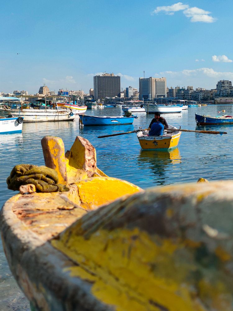 Фотография автора Sara Attia