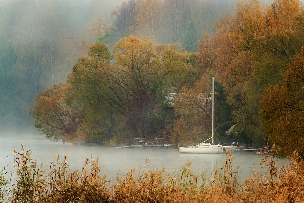 Photograph by Михаил Косолапов