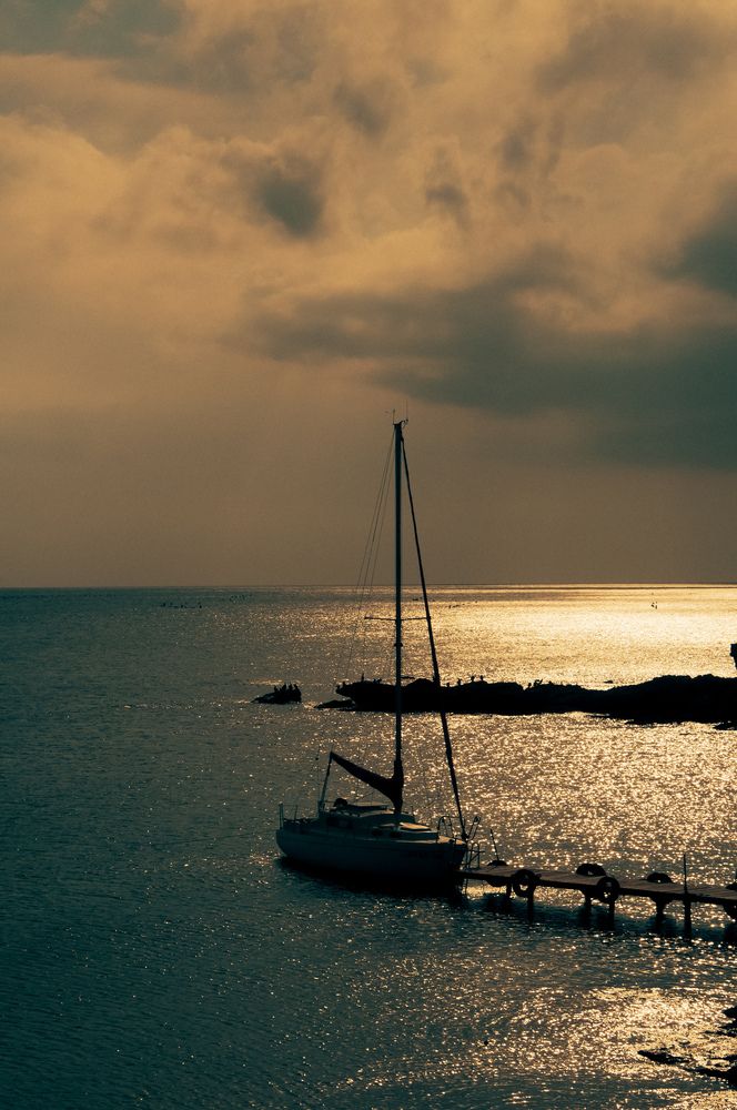 Photograph by Артём Таначёв