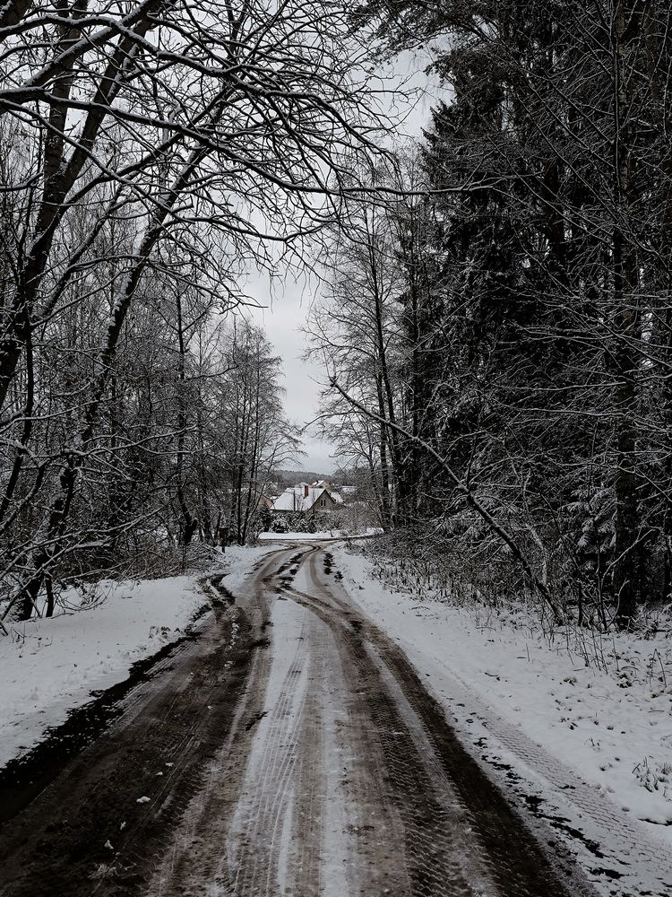 Photograph by Людмила Емельянчикова