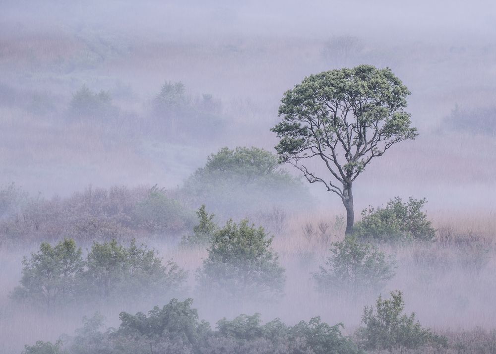 Фотография автора Дарья Карамышева