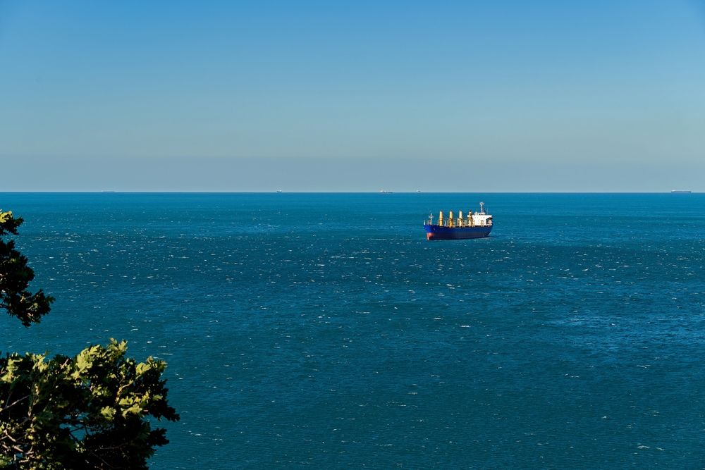 Photograph by Михаил Косолапов