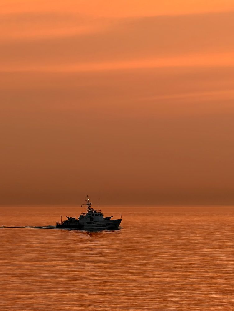 Фотография автора robot