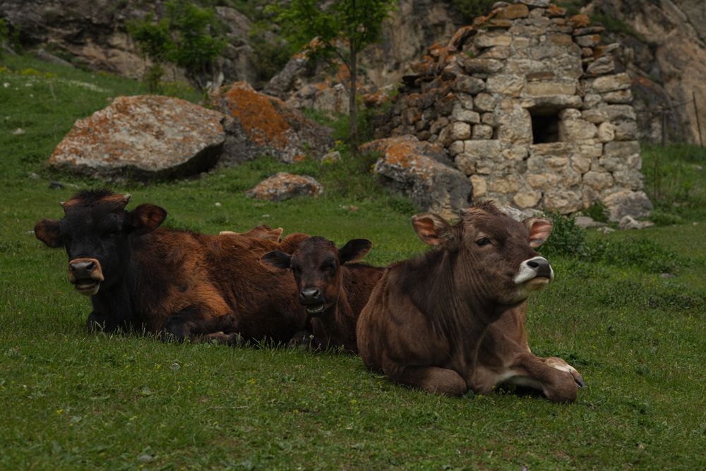 Photograph by Мария Вранковская