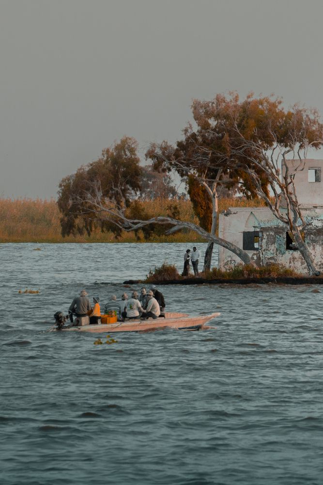 Photograph by Ahmed FahmyZa