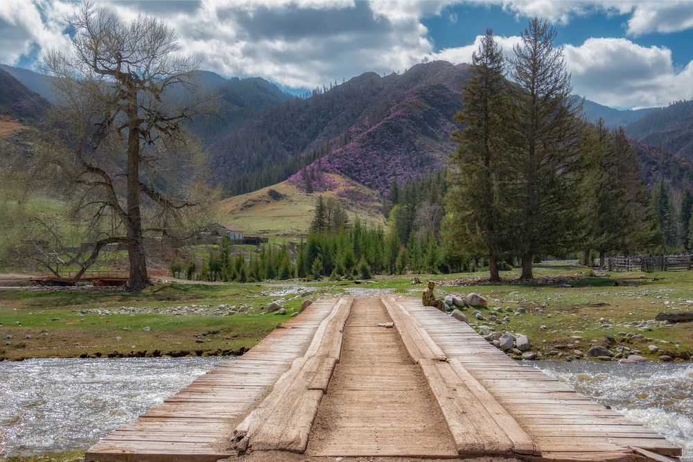 Фотография автора Юдинских Марина