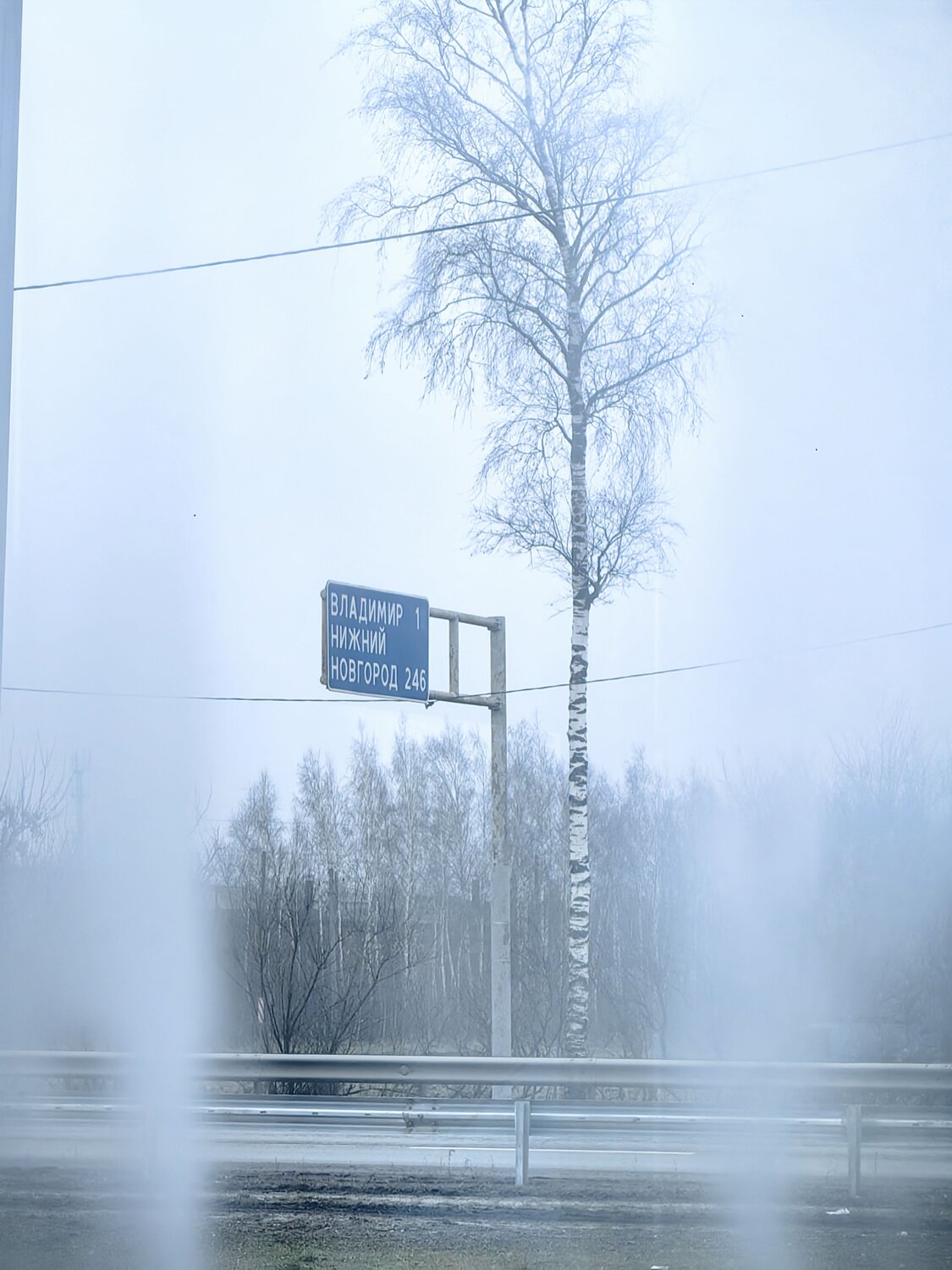Photo #12895825