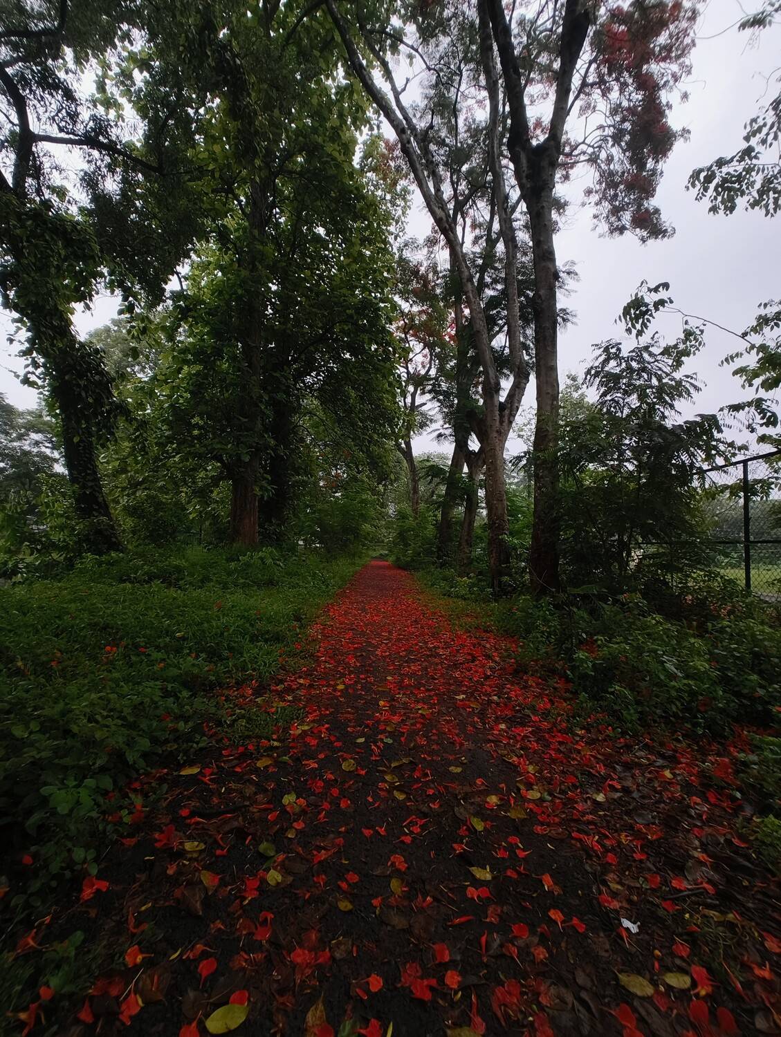 Photo #12895927