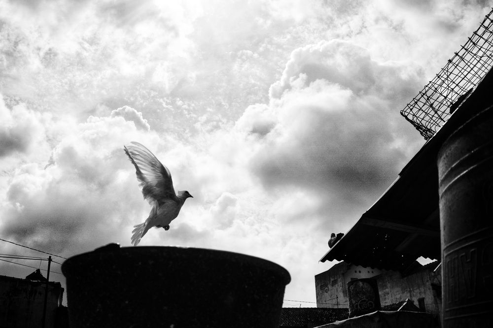 Photograph by galih winduadi