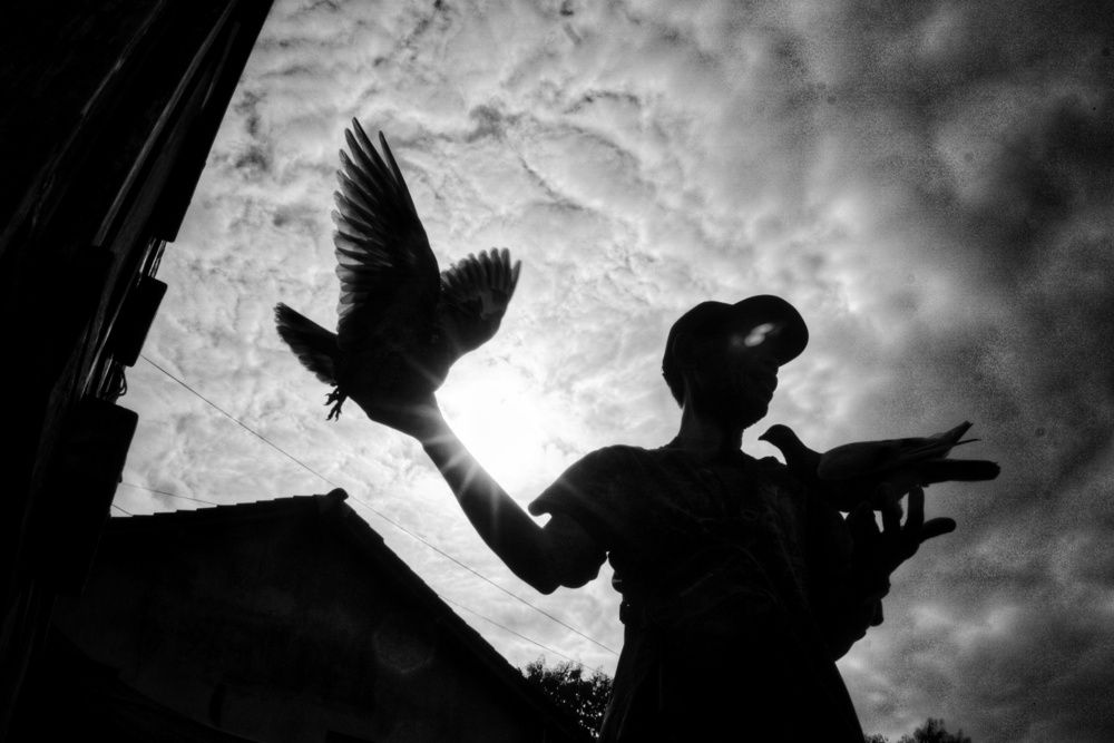 Photograph by galih winduadi