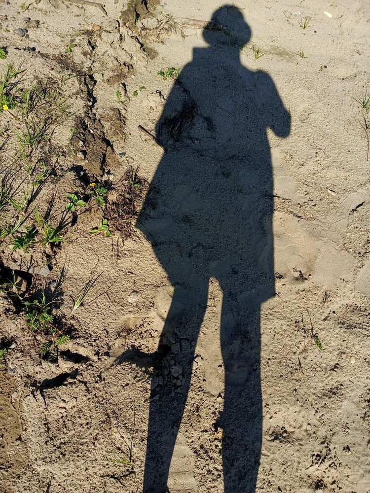 Photograph by НИНА АВЕРЬЯНОВА