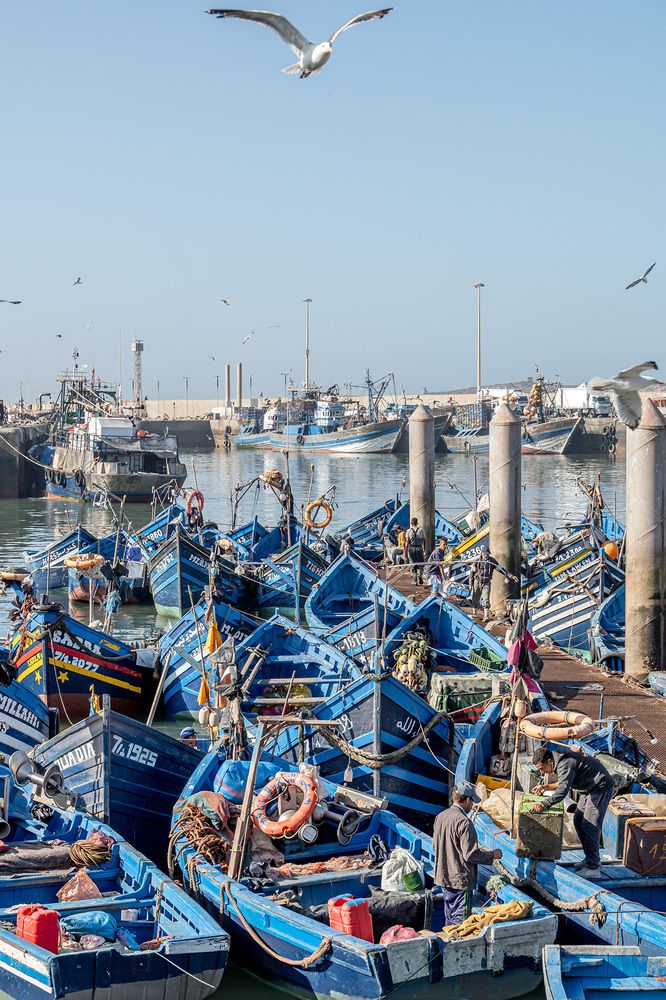 Essaouira
