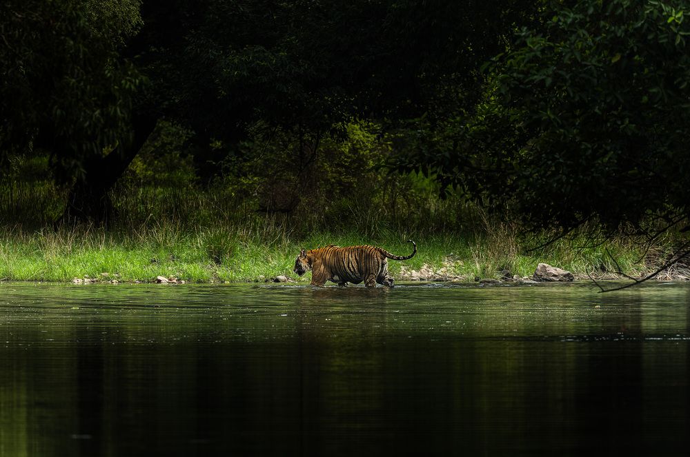 Photograph by Rahul Dev