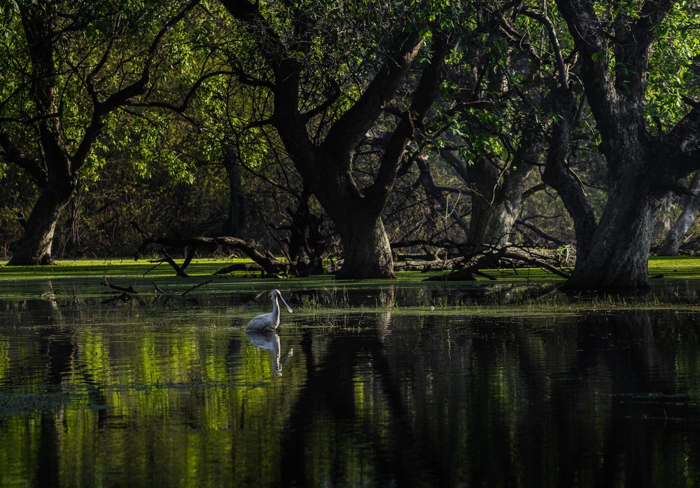 Photograph by Rahul Dev